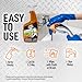 CLR Brands 2X Calcium Lime and Rust Remover - 32 oz Trigger