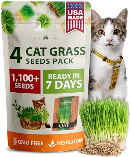 HOME GROWN Cat Grass Seed Mix – Non-GMO Oat, Alfalfa,