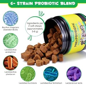 Probiotics for Dogs, 120 Chews Dog Probiotics Treats, Digestive Treats Dogs Probiotics and Digestive Enzymes, Dog Digestive Health Gut, Immune Bowel Support, Reduce Diarrhea, Gas, Itchy Relief Probiotics for Dogs, 120 Chews Dog Probiotics Treats, Digestive Treats Dogs Probiotics and Digestive Enzymes, Dog Digestive Health Gut, Immune Bowel Support, Reduce Diarrhea, Gas, Itchy Relief