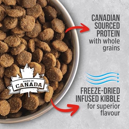 Nutrience Infusion Healthy Adult Dog Food Dry, 10 kg (22 lbs), Freeze-Dried Canadian Beef, Dry Dog Food, Nourriture Pour Chien, Manger Pour Chien image 7