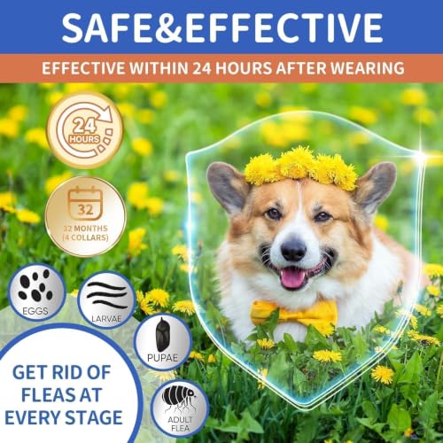 Image of Dog Flea and Tick Collar 4 Pack, Waterproof Adjustable Collar for Dogs and Puppies, 32-Month Prevention, Blue & Orange