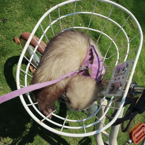 Image of Bearded Dragon Harness and Leash Set - Soft Fleece Dinosaur Vest with Safe Bell Adjustable Lizard Traction Rope Escape Proof Outdoor Walking Training Leash for Ferret Rat Kitten Puppy (Purple)