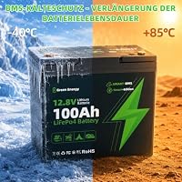 100Ah LiFePO4 Bluetooth, 15000 Zyklen Lithium Battery Bluetooth fähig BMS-Kälteschutzfunktion Zyklenlebensdauer von bis zu 1280Wh, Geeignet für Wohnmobile Boote und Camping – Ansicht 5
