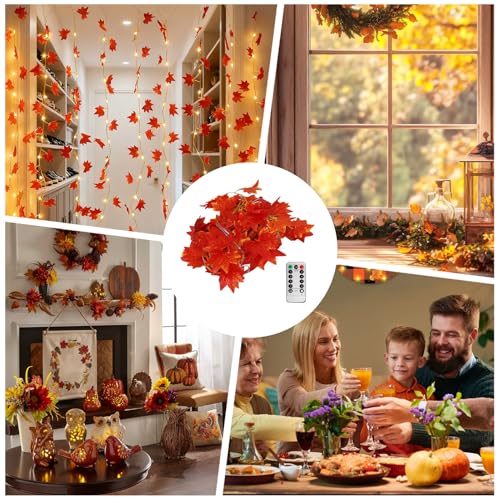 Lumières d'automne 8 modes avec télécommande et minuteur