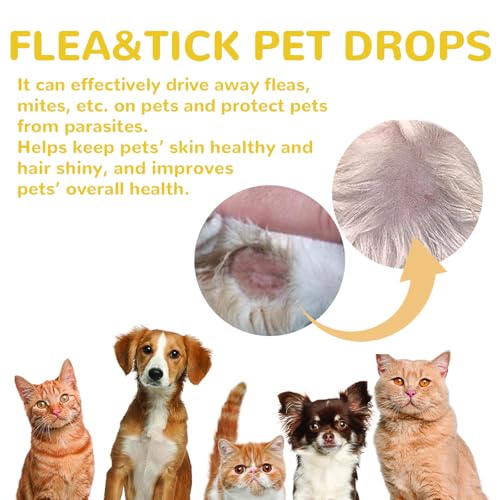Leistungsstarke Tropfen zur Abwehr von Parasiten bei Katzen und Hunden - Wirksames Mittel zur Abwehr von Parasiten bei Haustieren (1PCS)