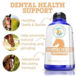 All-Natural Horse Dental Health Support – Maintains Strong, Healthy Teeth & Bones – Dental Supplements for Horses – Homeopathic & Highly Effective – 300 Tablets