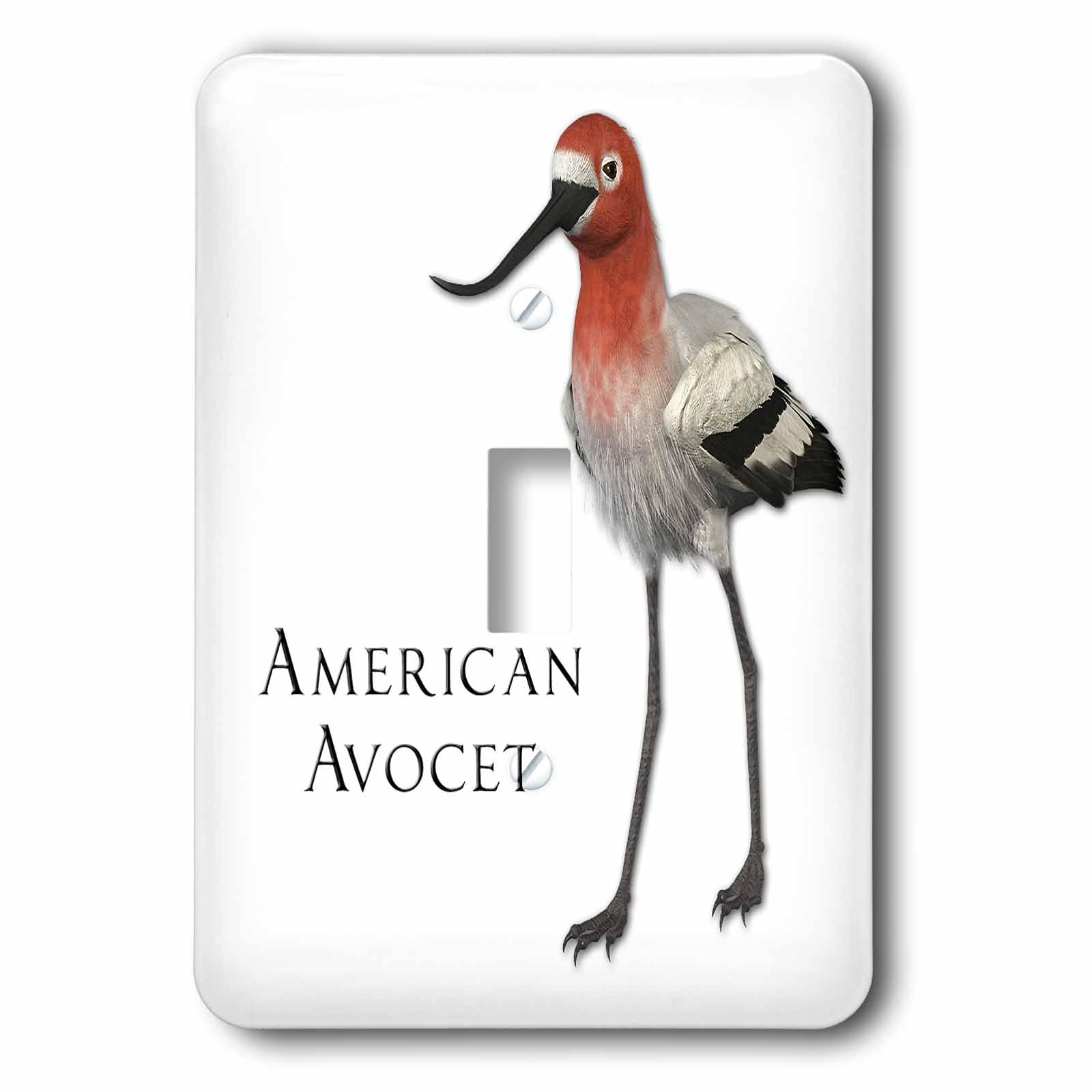 Interrupteur à baïonnette oiseau American Avocet Shorebird pour salon nature et lumineux