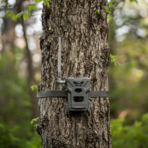 Caméra de faune connectée Spypoint Flex-M vision nocturne et appli - 2