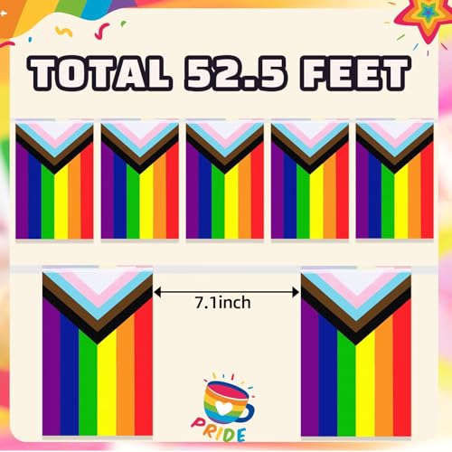Banderas de orgullo del progreso largas para decorar espacios grandes sin comprar de más 3