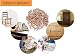 Espigas de Madera,30PCS Tacos de Madera M6 M8 M10 Juego de Clavijas...