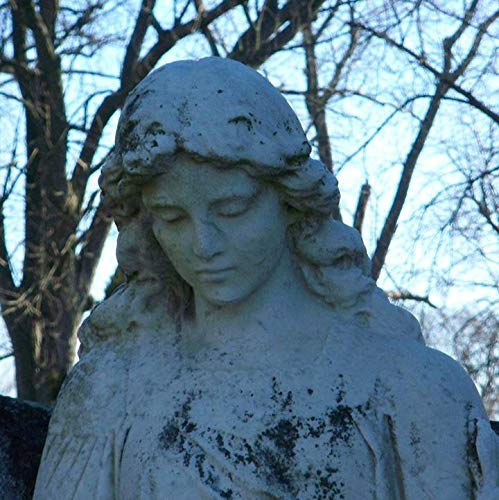 Amazon.com: Practical Voodoo