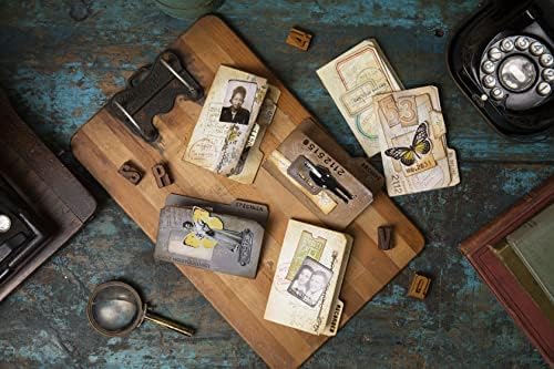 Sizzix Thinlits Die Set 54PK Specimen by Tim Holtz | 665930 | Chapter 3 2022, Multicolor, One Size
