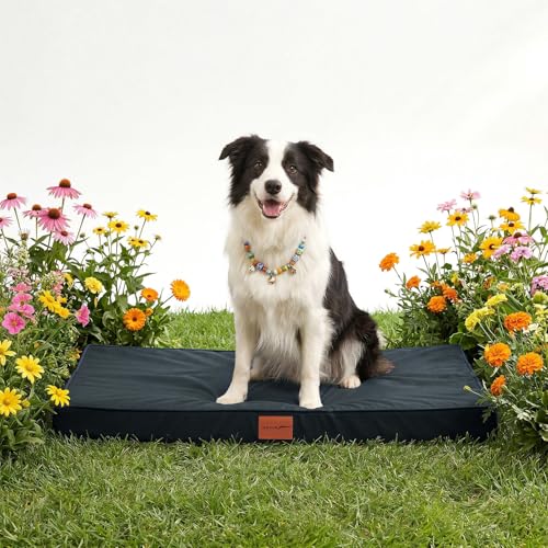 WAVVE Panier Chien Gris 91x69x7,6 cm, Coussin orthopédique à Mousse de Carton d'œufs, Tapis imperméable dehoussable Lavable en Machine adapté lit et canapé pour Chien – vue 2