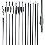TOPOINT ARCHERY 30inch 8mm Fiberglass Hunting Practice Arrows with Replaceable Arrowhead Spine 500 for Recure and Compound Bow Target (Pack of 12) (2 Black 1 White vanes)