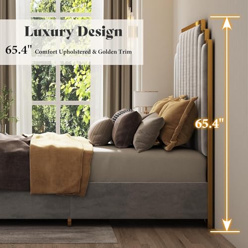Image of AMERLIFE California King Size Upholstered Bed, Modern Velvet Bed Frame with 65.4 inch Tall Gold Trim Headboard, No Box Spring Needed, Grey