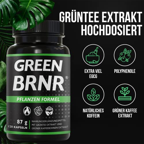 Grüntee Kapseln BRNR Green – Hochdosierter Grüntee Extrakt