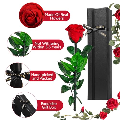 Roses Gifts for Women - Eternal Rose Preserved Flowers with Stem - Real Rose Fresh Flower Gifts for Her Girlfriend Wife Mum Women Flowers Gift Wife Present For Christmas Valentine's Day Mother's Day - Image 4