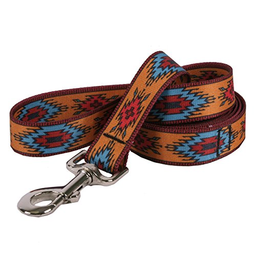 Image of Yellow Dog Design Standard Lead, Indian Spirit Orange, 1 inch x 60 inch (5 ft.)