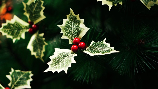 100 Baies Rouges Artificielles Pour Décoration Noël - Fausses Baies De Houx, 1 Cm De Diamètre - Pour Couronnes, Sapins, Arrangements DIY