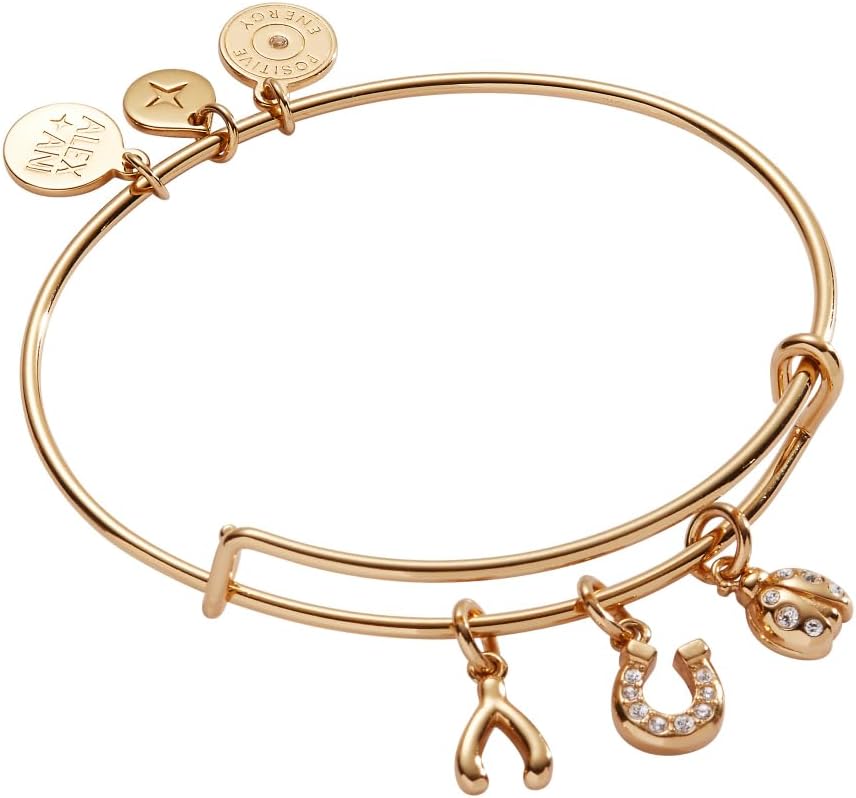 Love and Luck Multi-Charm Bangle