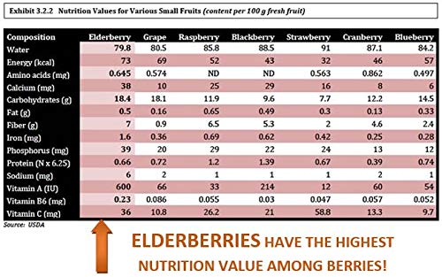 Berryqueen Original Organic Elderberry Syrup - Pure Natural - Immunity Boost - Herbal Supplement - Easy As Juice Loved By Kids And Adults - 8 Oz #TOP3