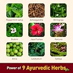 Navratna Ayurvedic Cool Oil | with 9 Active Herbal Ingredients | Relaxing Head Massage Oil | Quick Relief from Headache & Body Ache | 10.14 Fl Oz/270ml - Image 4