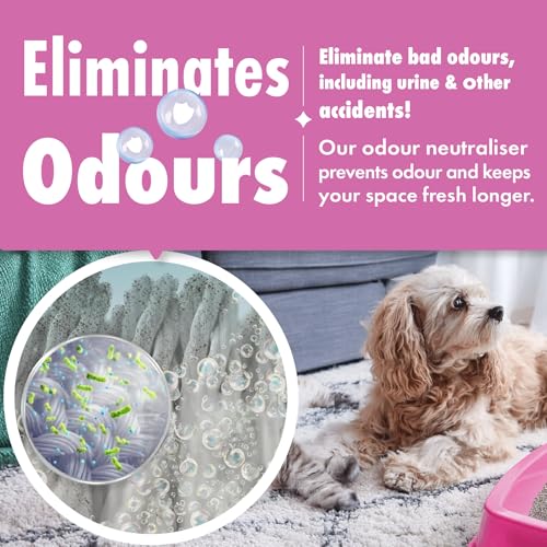 Dirtbusters Pet Pro Antibacterial Carpet Cleaner Shampoo Solution (5L) Kills 99.99% Of Bacteria, Powerful Cleaning To Remove Soiling & Neutralise Pet Odour, Urine & Stains, Wool Safe - Image 6