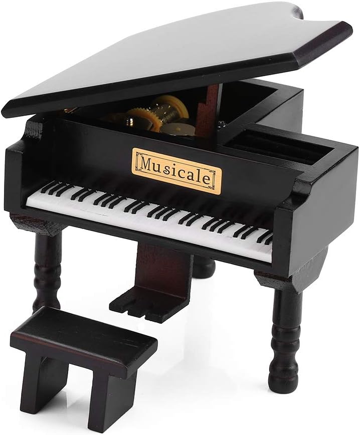 Nannigr Music Box, Wooden Movement Music Carrying You Musical Box Elegant Taste Birthday