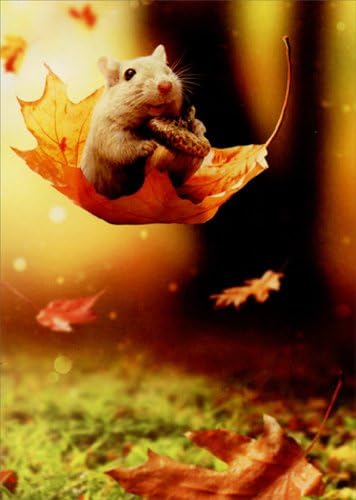 Mouse On Big Leaf - Avanti Thanksgiving Card