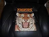 1976 DETROIT TIGERS BASEBALL PROGRAM VS RED SOX EX
