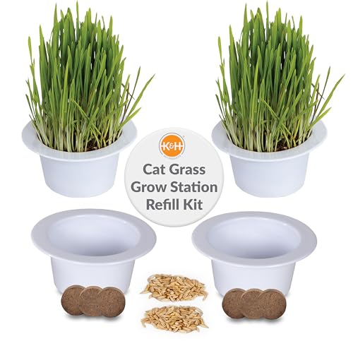 K&H Pet Products Cat Grass Grow Station Growing Cup Refills for K&H EZ Mount Products, Healthy Home Grown Grass Cat Toys for Bored Indoor Adult Kitties, Farmed in USA, Non-GMO - Refill ONLY, 2 Pack