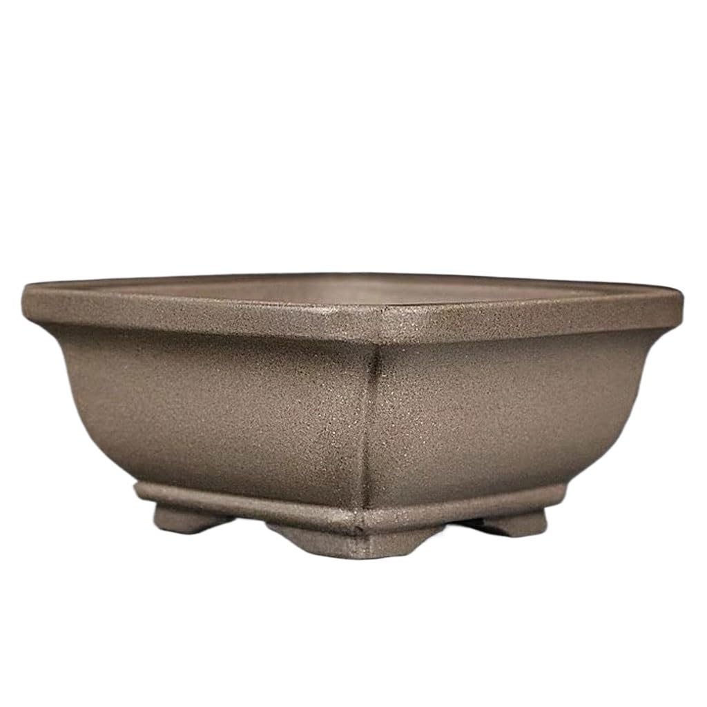Pots de fleurs d'intérieur en argile pour végétaliser votre salon avec style