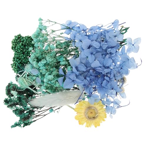 Kit de flores prensadas naturales para manualidades miniatura 1