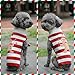 SKXEO Weihnachten Hund Pullover Kostüm, Neujahr Haustier Kostüm warm Winter Pullover gestrickt Weihnachten Haustier Kleidung für Welpen Katze Hunde (Gestreifter Lebkuchenmann-Pullover, S)