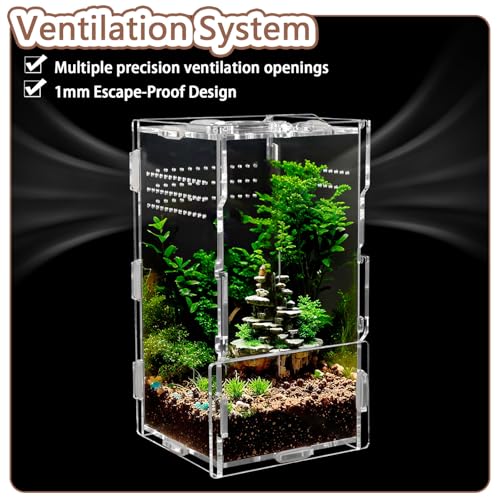 Image of Jumping Spider Enclosure Acrylic Terrarium 8x4x4 | Crystal clear 360 acrylic viewing