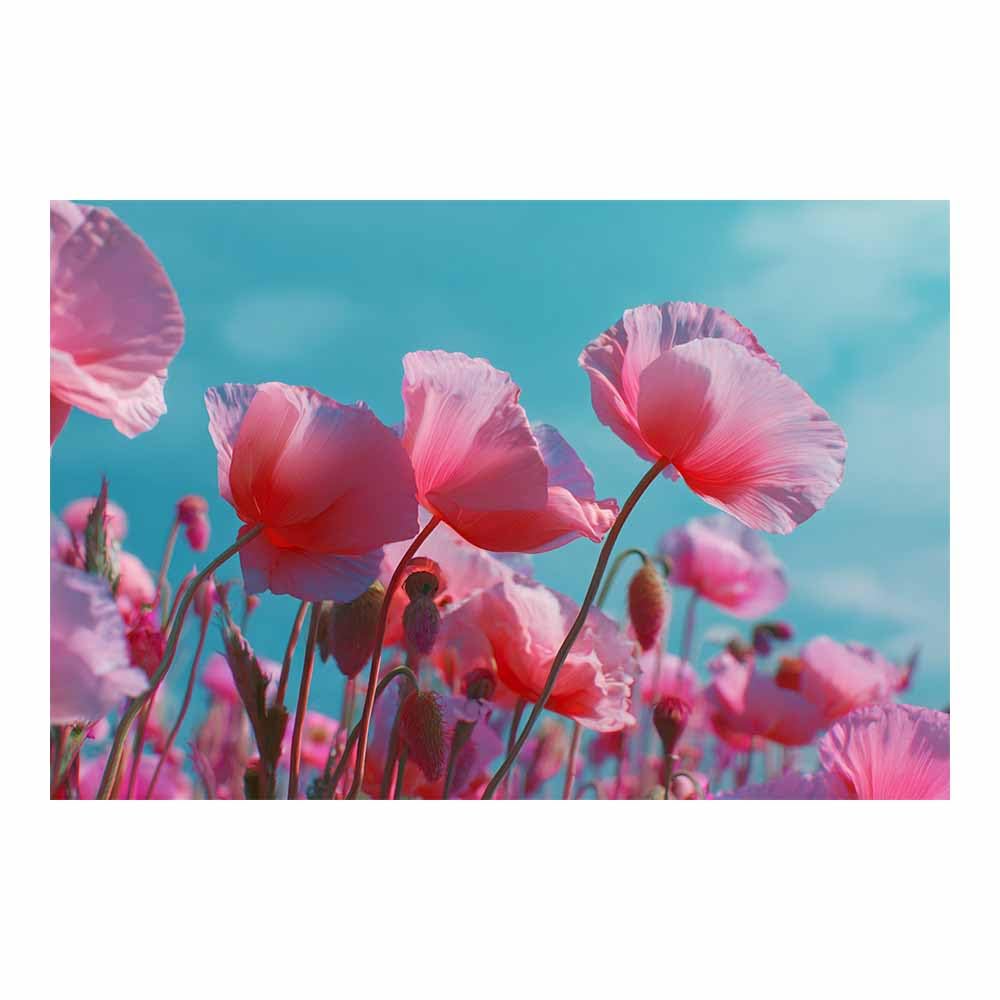 ZAMAEIU Landscape Wall Art Poppy Beds Artwork for Walls, Canvas Prints Paintings Room Decor, for Bedroom Kitchen Office Fireplace Wall Decor(pink)-30x50cm Unframed
