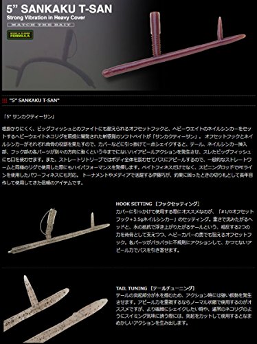 ノリーズ ワーム サンカクティーサン 5インチ #072