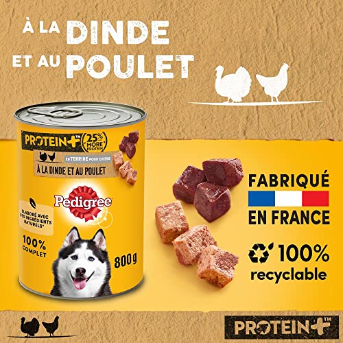 PEDIGREE Dose Protein+ in Pastete mit Truthahn und Huhn 12 x 800g