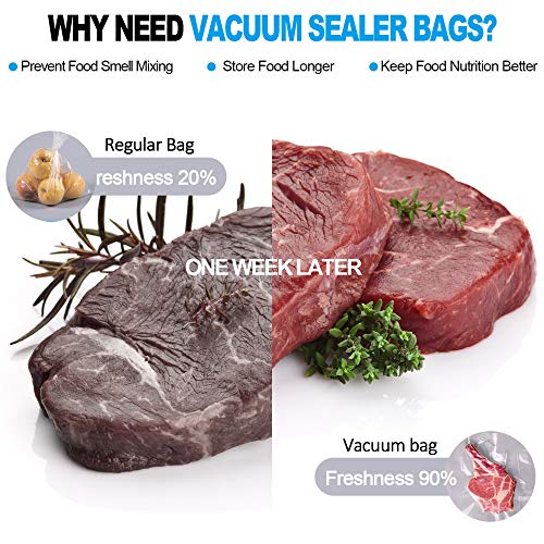 Canlenpk 8×10Inch/20X25Cm Vacuum Sealer Bags,Precut Easy Tear Notch Textured Food Storage Bag,Seal Meal Snack Fruit Nut,Boil Steam Heat Freeze Safe Sous Vide Bags,Commercial Food Heavy Duty Sealable Bags(100Pcs) #TOP6