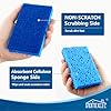 HOMEXCEL Sponges Kitchen 24pcs, Non-Scratch Scrub Dish Sponge Safe on Non-Stick Cookware, Dual Sided Cleaning Sponges for Kitchen, Household, Bathroom and More #1