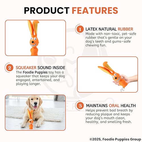 Image of Foodie Puppies Natural Latex Rubber Squeaky (Orange Rabbit, 17cm) Dog Toy | Small to Medium Dogs & Puppy | Durable, Animal Design, Fetch & Chew Safe Play Toy | Reduce Separation Anxiety
