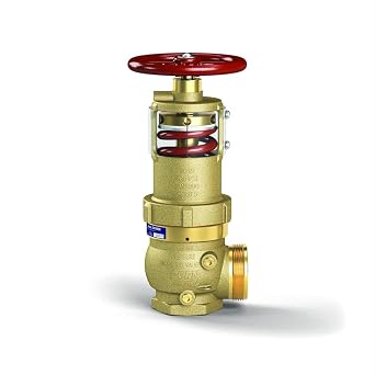 Zurn Wilkins ZW5000 2-1/2" Pressure Tru Field Adjustable Pressure Reducing Hose Valve Angle, FNPT x NH