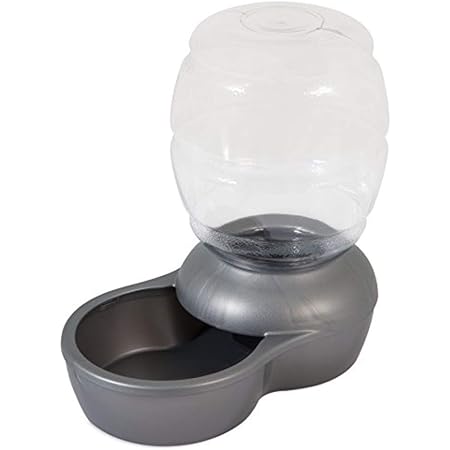 petmate mason replendish waterer