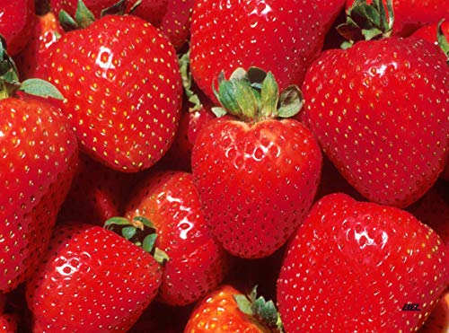 Cute Fresh Strawberry Kitchen Glass Cutting Board Decorative Strawberries Gift For Grandmother Wife Mom Design #TOP20