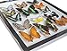 Luxury Frame Display Real 14 Butterflies Collection for Decor