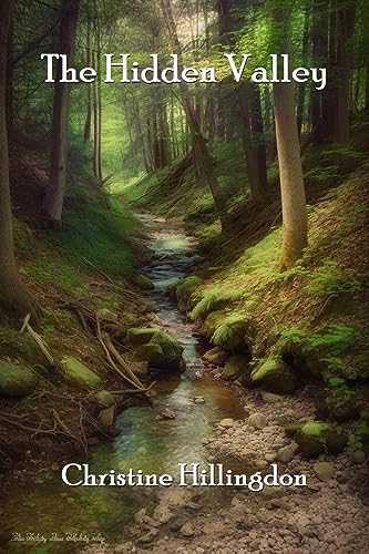 The Hidden Valley (English Edition)