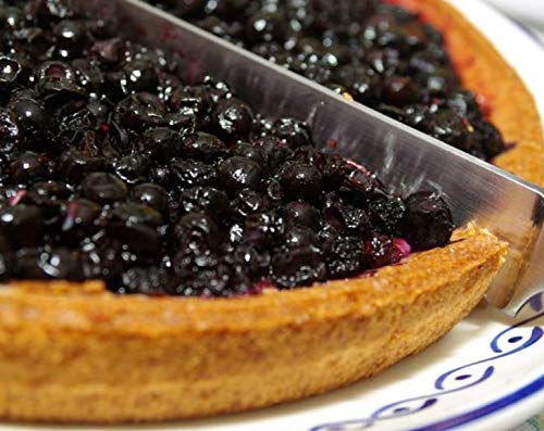 Organic Dried Blueberries, 1 Pound - Non-Gmo, Kosher, Raw, Vegan, Unsulfured, Bulk #TOP6