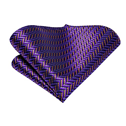 Image of Hi-Tie Men Ties Sets Silk Stripe Paisley Necktie Pocket Square Cufflinks for Business Wedding