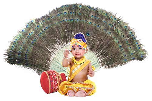Image of Raj Fancy Dresses Shri Krishna Dress for Baby Boy & Girl, Janmashtmi Dress with Diaper-friendly Dhoti & Dupatta, Mor Pankh Mukut