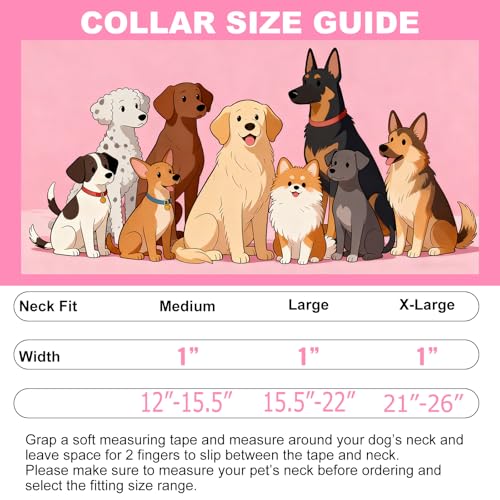 Collar reflectante para perros con neopreno suave ajustable M miniatura 4